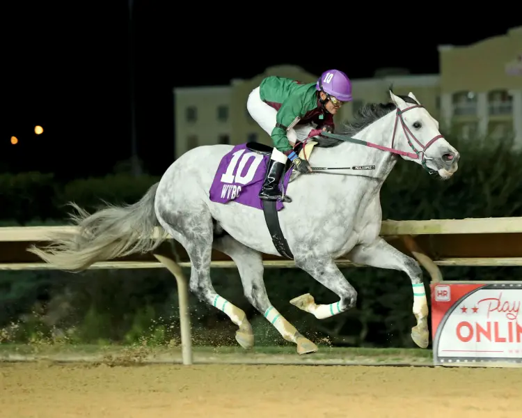 JUBAWITHATWIST - Sam Huff WV Breeders Classic - 10-10-26 - R09 - Charles Town - Finish 02 - Ashley Phillips