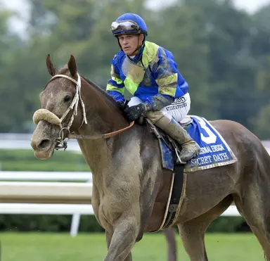 Secret Oath retired, will be offered at Fasig-Tipton November sale