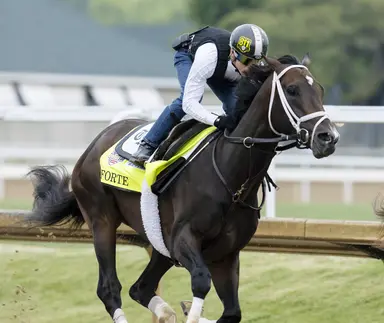 Pletcher appears before stewards regarding Forte's positive test