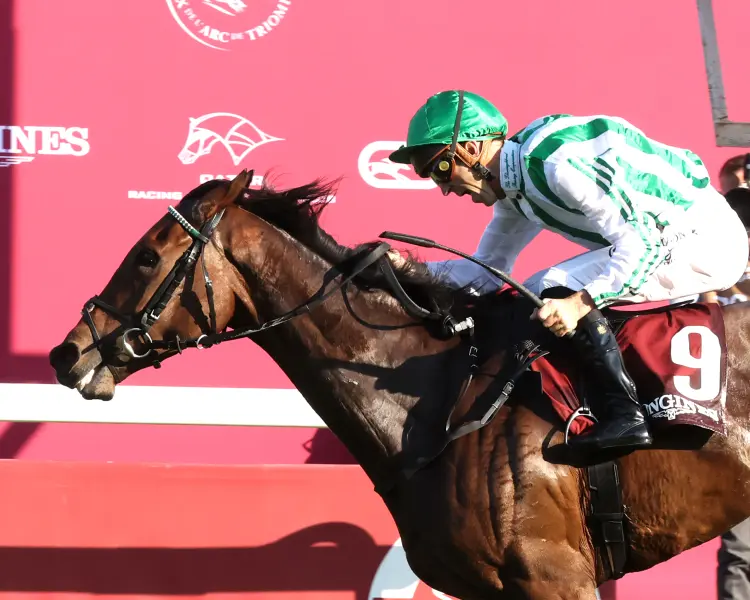 MISS SCOTT IRE - G1 Prix de l'Opera Longines - R6 -  Longchamp - 100426 - Finish 03- Cady Coulardot