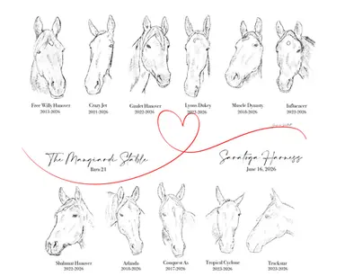 Harness:  In Memory of Mangiardi's Eleven