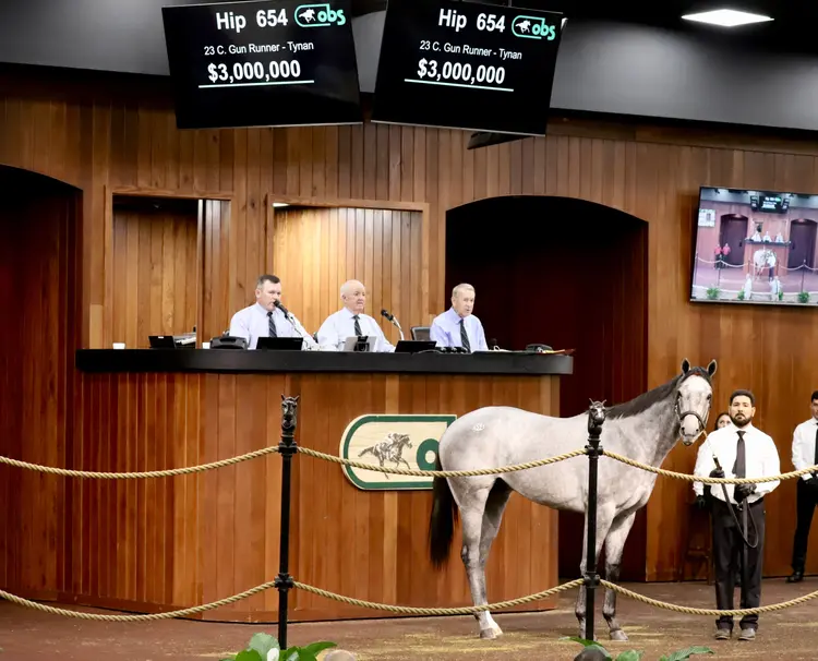 Gun Runner colt sale topper OBS March2501.3.13.25.Penelope Miller.jpg
