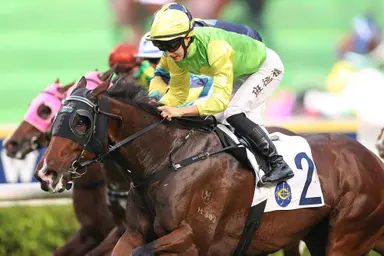 Tomodachi Kokoroe to be aimed at top sprints after latest victories