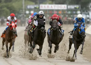 Brad Free's Santa Anita Horses to Watch for the week of Jan. 8-11, 2026