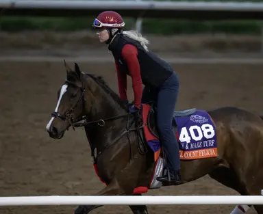 Australia: Via Sistina may be vulnerable shortening up in Winx Stakes