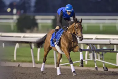 Arabian Crown, Purview ship over for rematch in Canadian International