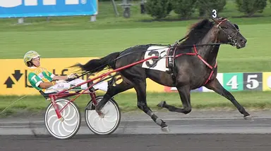 Harness: Champions Walner and Legendary Hanover to stand at Deo Volente Farms beginning in 2027