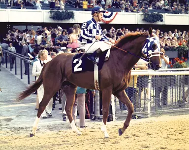 Before he set records on the racetrack, Secretariat set syndication standard