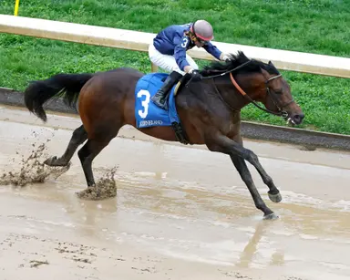 Keeneland April horses of racing age sale offers opportunity to restock for summer