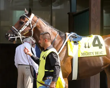 Doncho looks like his best may be on turf