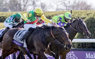 International success Wootton Bassett dies from complications of choke at age 17
