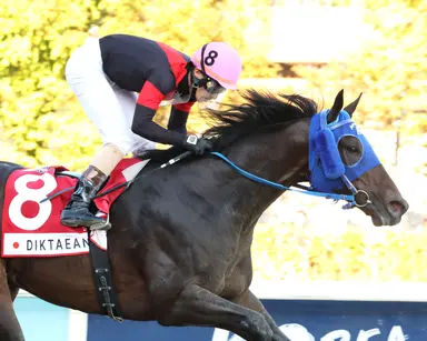 Diktaean, Dragon Welds win key South Korea races, gain Breeders' Cup berths