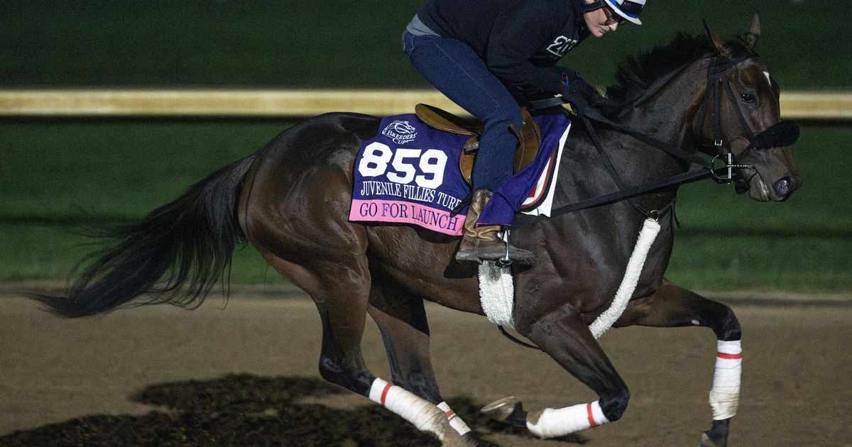 Breeders' Cup Juvenile Fillies Turf: Go for Launch taken out with injury