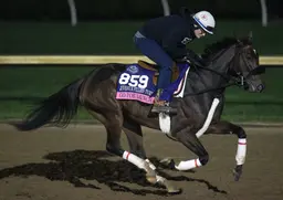 Breeders' Cup Juvenile Fillies Turf: Go for Launch taken out with injury