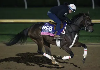 Breeders' Cup Juvenile Fillies Turf: Go for Launch taken out with injury