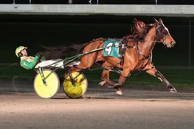Yonkers:  Always Bstunning N shines in MGM Ursula McIntyre Pacing Series