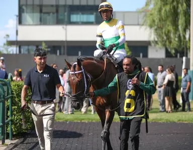 Piper's Factor brings track record into Connaught Cup