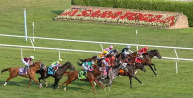 DRF's Horse Racing Playbook for Saturday, Aug. 22, 2026