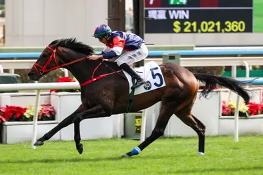 Road to the Derby: Numbers add up as Frankie Lor targets Four-Year-Old Classic Series