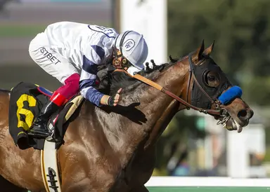 American presence slimmer on Dubai World Cup card