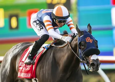 Fasig-Tipton winter mixed sale offers late chance to pick up broodmare prospects