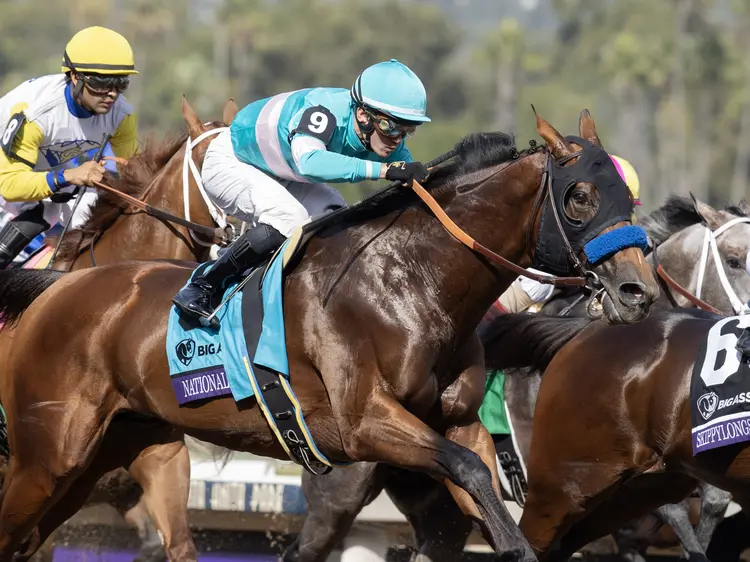 National Treasure during BC Dirt Mile at SA Nov 4 2023