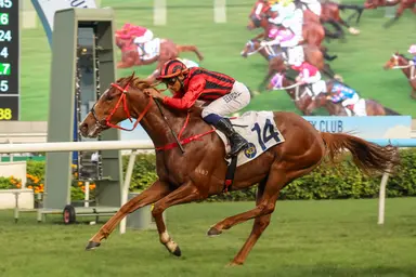 Nautical Force out to confirm promise in G3 Queen Mother Memorial Cup staying test