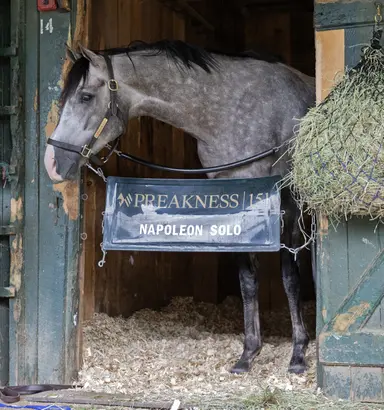 Napoleon Solo works, but yet to be confirmed for Travers