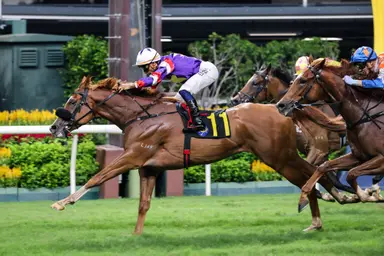 Violet Star goes for another Valley victory; Romantic Warrior heads to Conghua