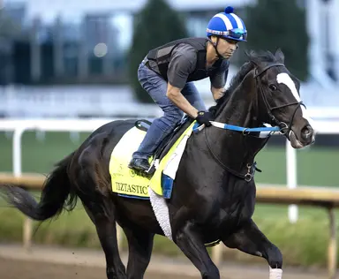 Kentucky Derby pedigree profile: Tiztastic