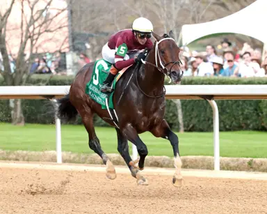 Magnitude punches ticket to Dubai with Razorback romp