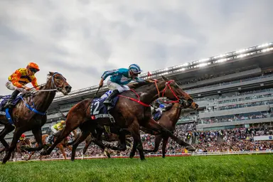 Romantic Warrior rests ahead of Gold Cup mission, Chill Chibi chases five straight wins