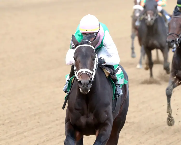 Disco Time wins at CD Nov 30 2024