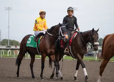 Mansetti looks to end win drought in allowance