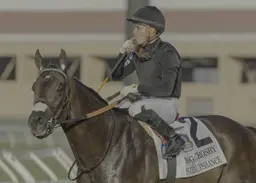 Rematch likely for Listenupshance, Maximum Bourbon in Santa Anita Sprint Championship
