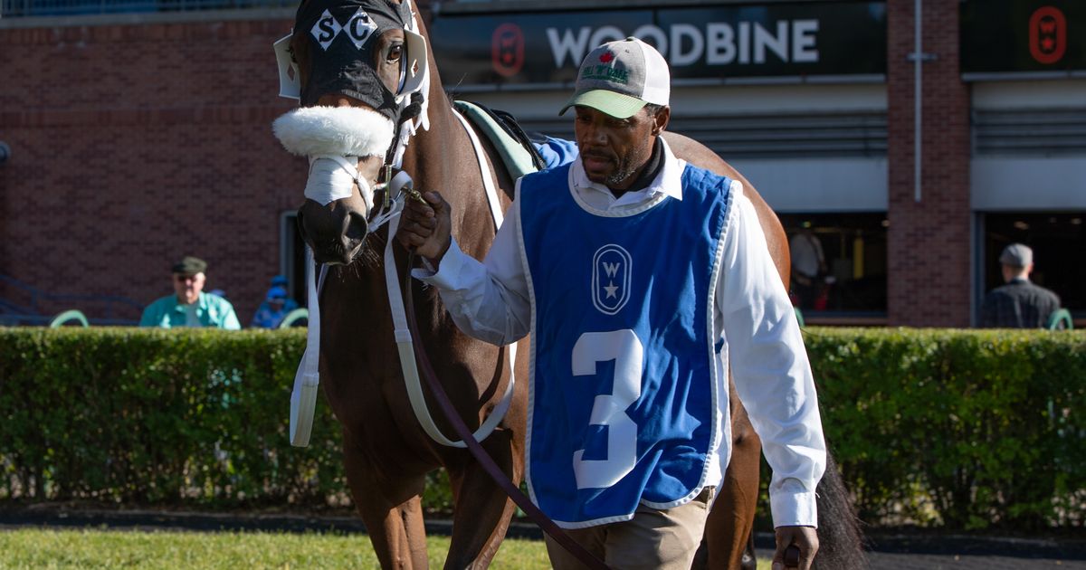 Mrs D goes long in Mazarine after missing cut in Breeders' Cup