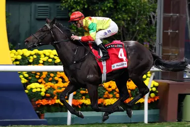Hayes searching for Happy Valley success ahead of Ka Ying Rising’s Group 1 return