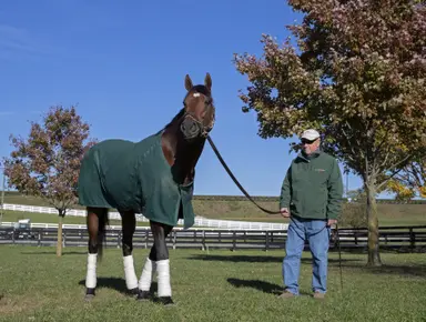 Leinster moves to New York for debuting Mountain View Farm