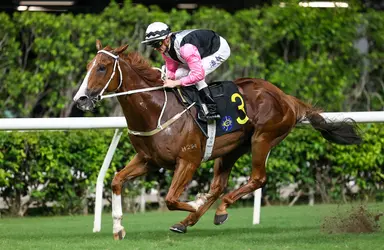 Beauty Waves aims for repeat in National Day Cup at Sha Tin