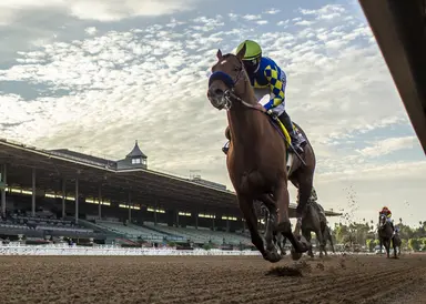 First-crop sire Charlatan's success should continue at Keeneland September