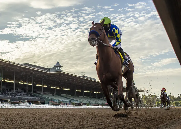 Charlatan wins Malibu Stakes 12-26-2020