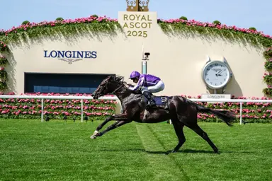 England: Distant Storm meets Gstaad, Zavateri in Dewhurst