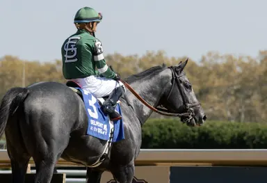 Brown pointing Rated by Merit, Praetor toward Carter