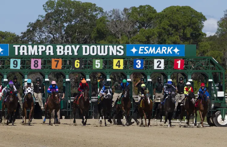 Tampa Bay Downs starting gate Jan 10 2026