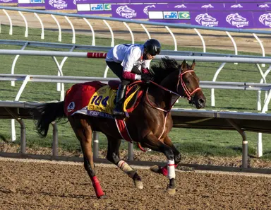 Japan: Forever Young preps for Breeders’ Cup Classic in Nippon TV Hai Stakes