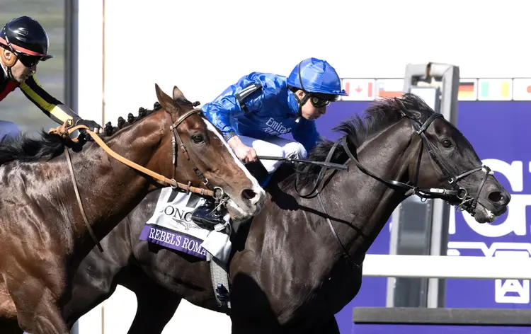Rebel's Romance holds off Rousham Park in BC Turf at DMR Nov 2 2024