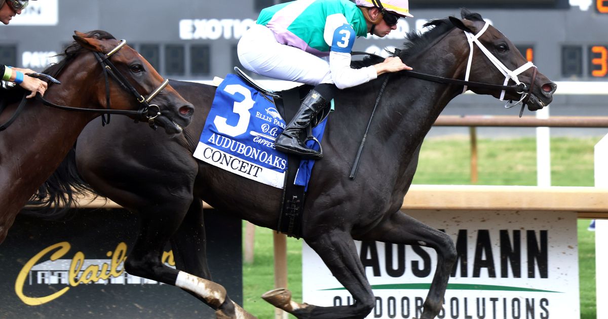 Conceit continues love affair with dirt in Audubon Oaks
