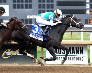 Conceit continues love affair with dirt in Audubon Oaks