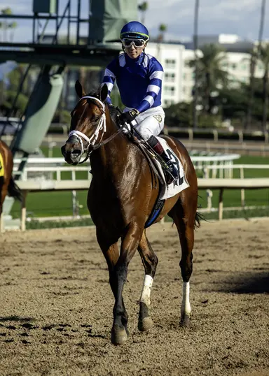 Stark Contrast works for intended start in Jeff Ruby