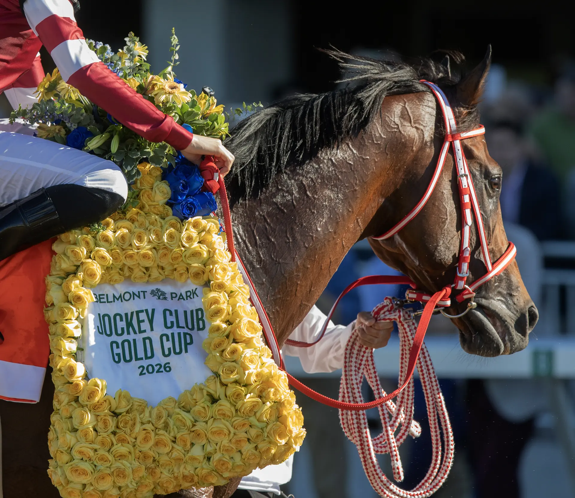 Breeders' Cup Classic: Forever Young returns for repeat bid